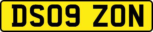DS09ZON
