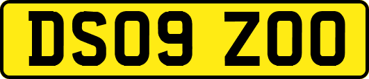 DS09ZOO