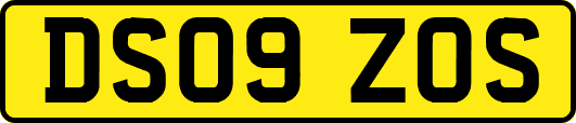 DS09ZOS