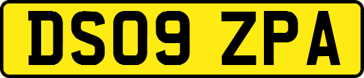 DS09ZPA
