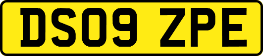 DS09ZPE