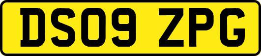 DS09ZPG