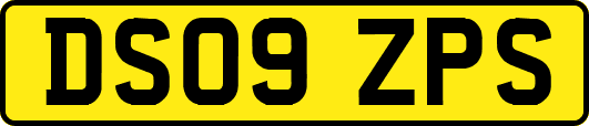 DS09ZPS