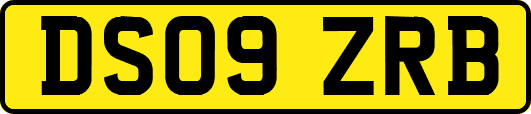 DS09ZRB