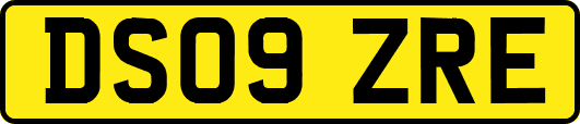 DS09ZRE