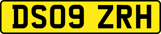DS09ZRH