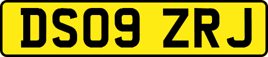 DS09ZRJ