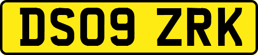 DS09ZRK