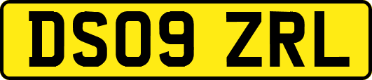 DS09ZRL