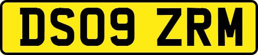 DS09ZRM