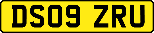 DS09ZRU