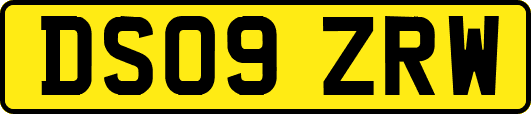 DS09ZRW