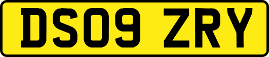 DS09ZRY