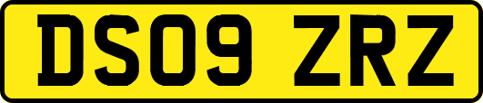DS09ZRZ