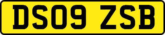 DS09ZSB