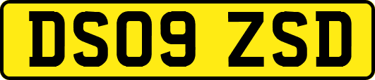 DS09ZSD
