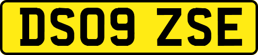 DS09ZSE