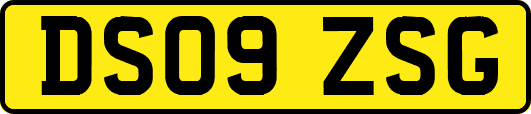 DS09ZSG