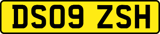 DS09ZSH
