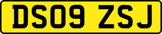 DS09ZSJ