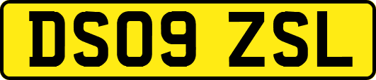DS09ZSL