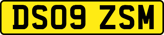 DS09ZSM