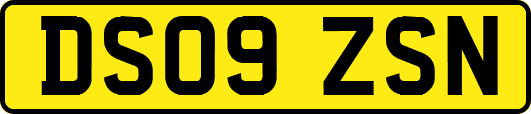 DS09ZSN