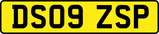 DS09ZSP