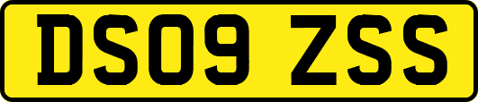 DS09ZSS