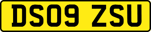 DS09ZSU