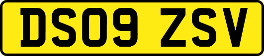 DS09ZSV