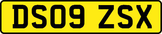 DS09ZSX