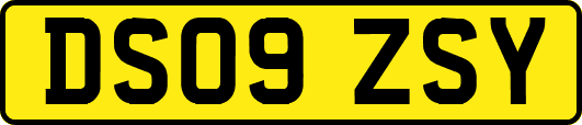 DS09ZSY
