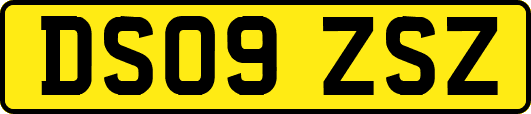 DS09ZSZ