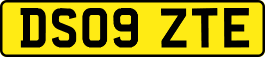 DS09ZTE