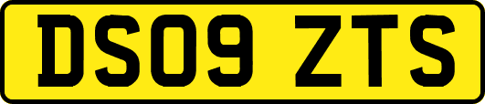 DS09ZTS