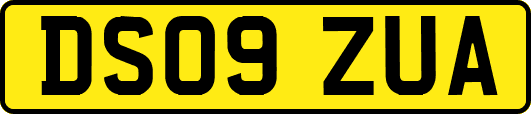 DS09ZUA