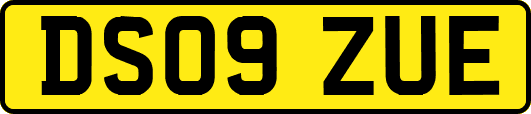 DS09ZUE