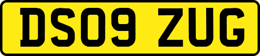 DS09ZUG
