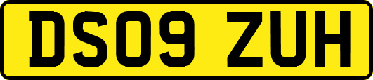 DS09ZUH