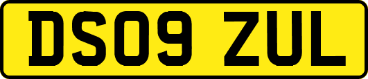 DS09ZUL