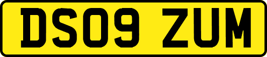 DS09ZUM