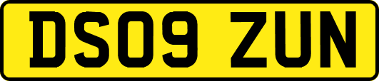 DS09ZUN