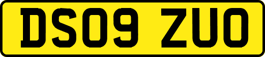DS09ZUO