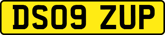 DS09ZUP
