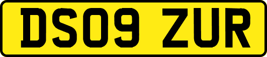 DS09ZUR