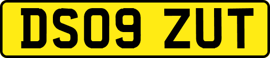 DS09ZUT