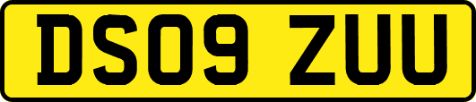 DS09ZUU
