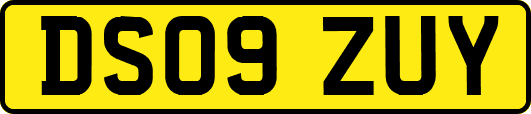 DS09ZUY