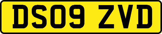 DS09ZVD